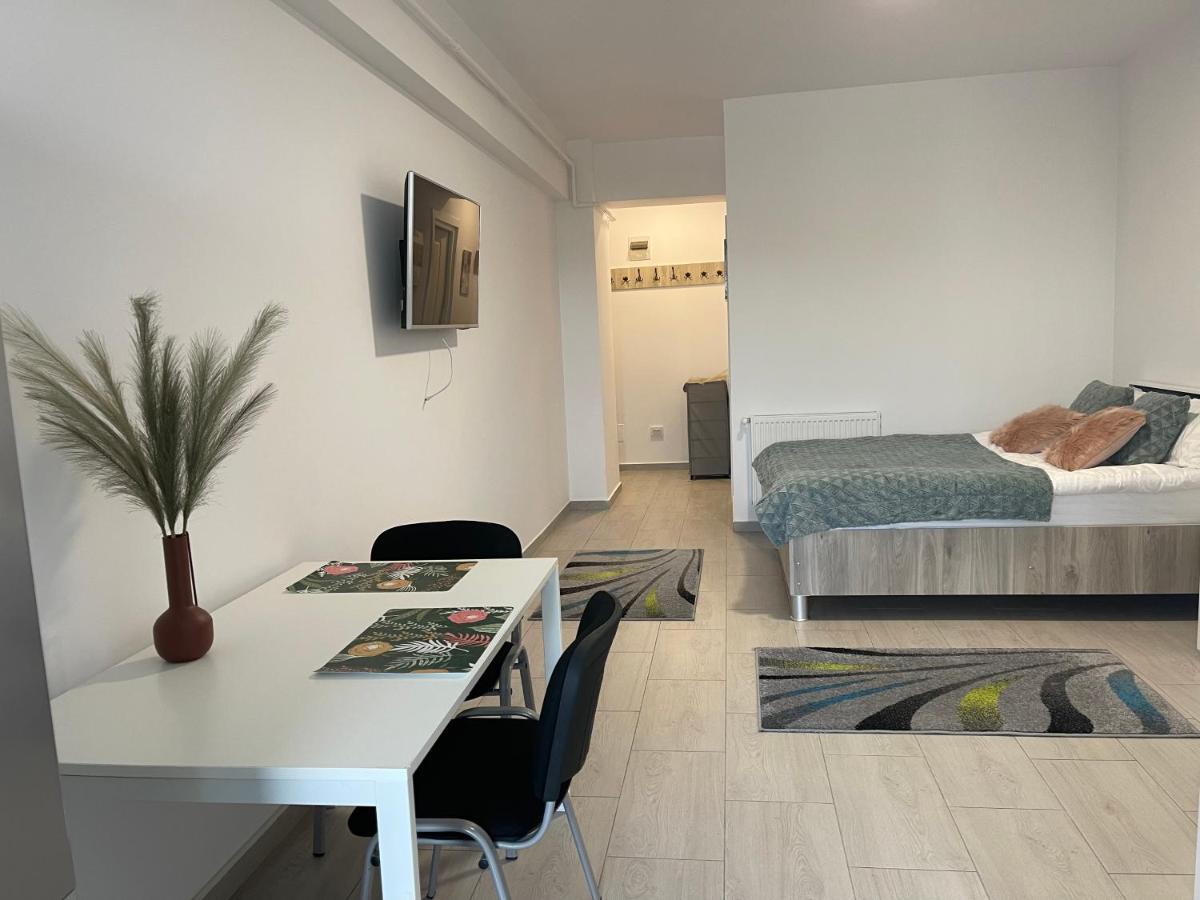 Studio Apartment Palas Mall Ясси Екстер'єр фото