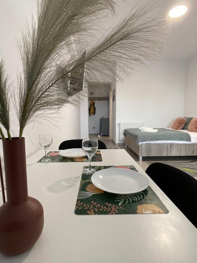 Studio Apartment Palas Mall Ясси Екстер'єр фото