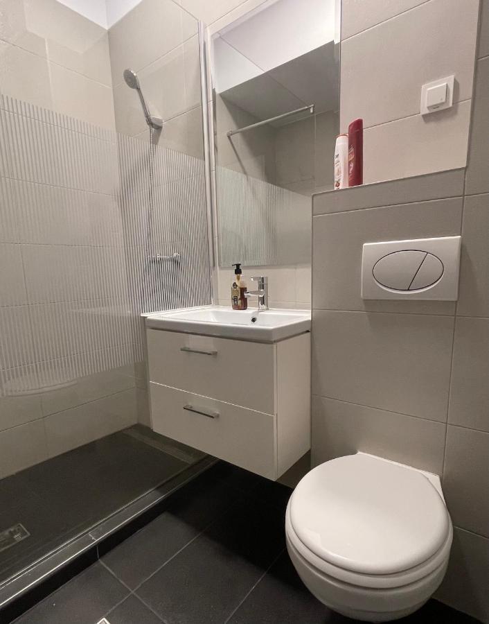 Studio Apartment Palas Mall Ясси Екстер'єр фото