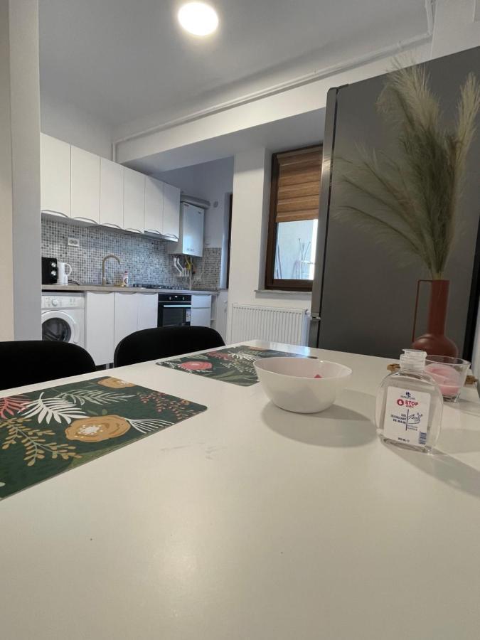 Studio Apartment Palas Mall Ясси Екстер'єр фото