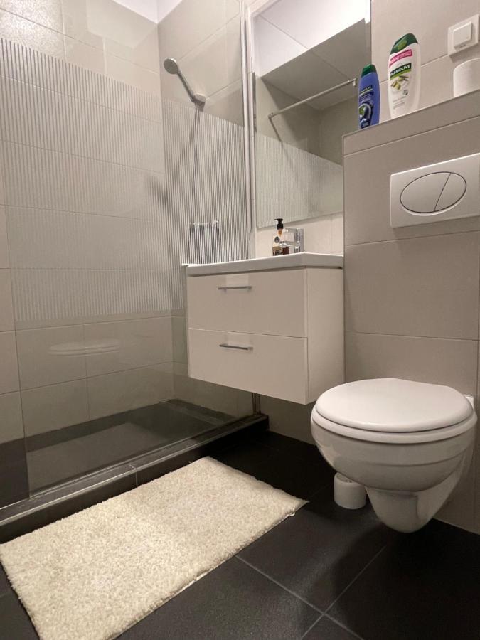 Studio Apartment Palas Mall Ясси Екстер'єр фото